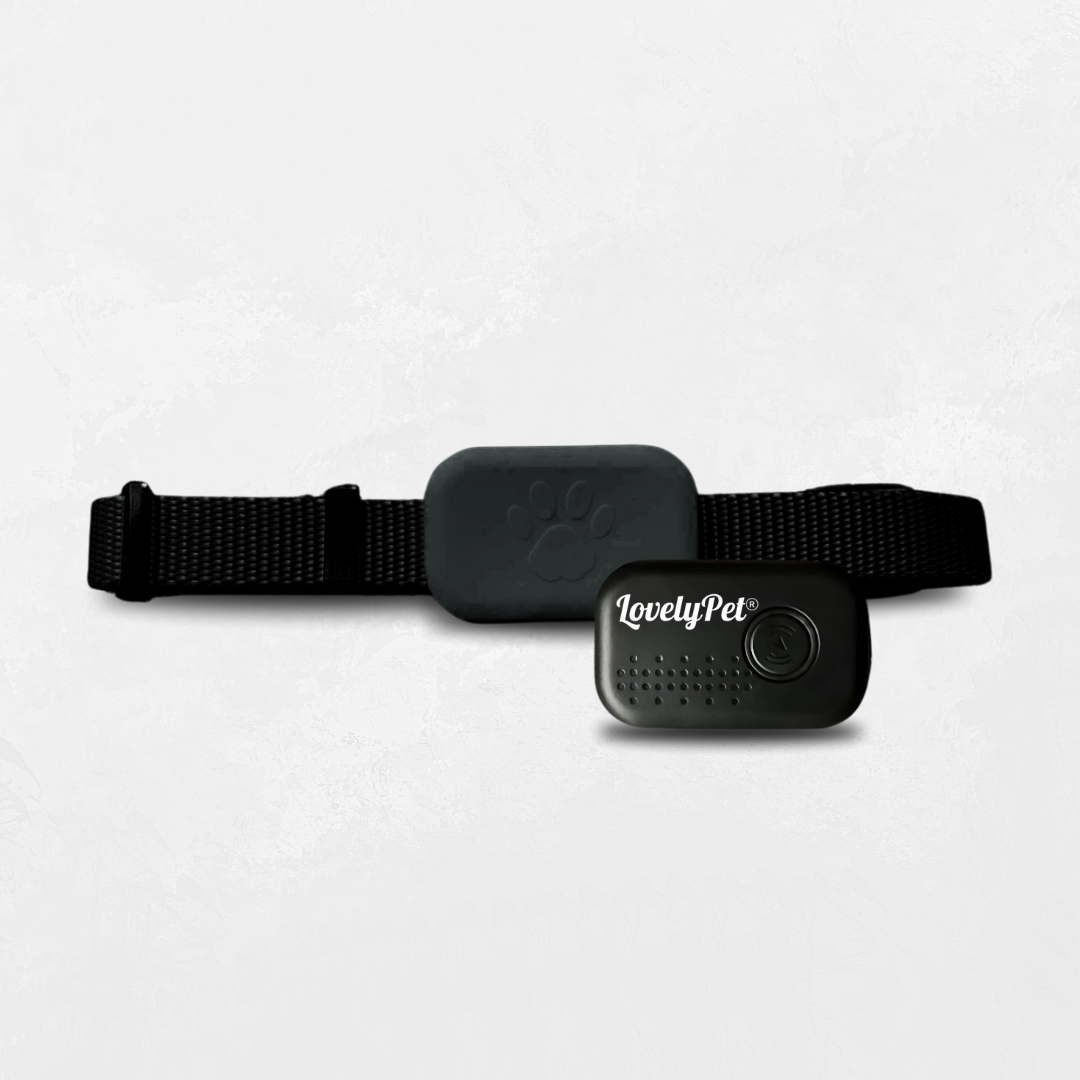 GPS collar