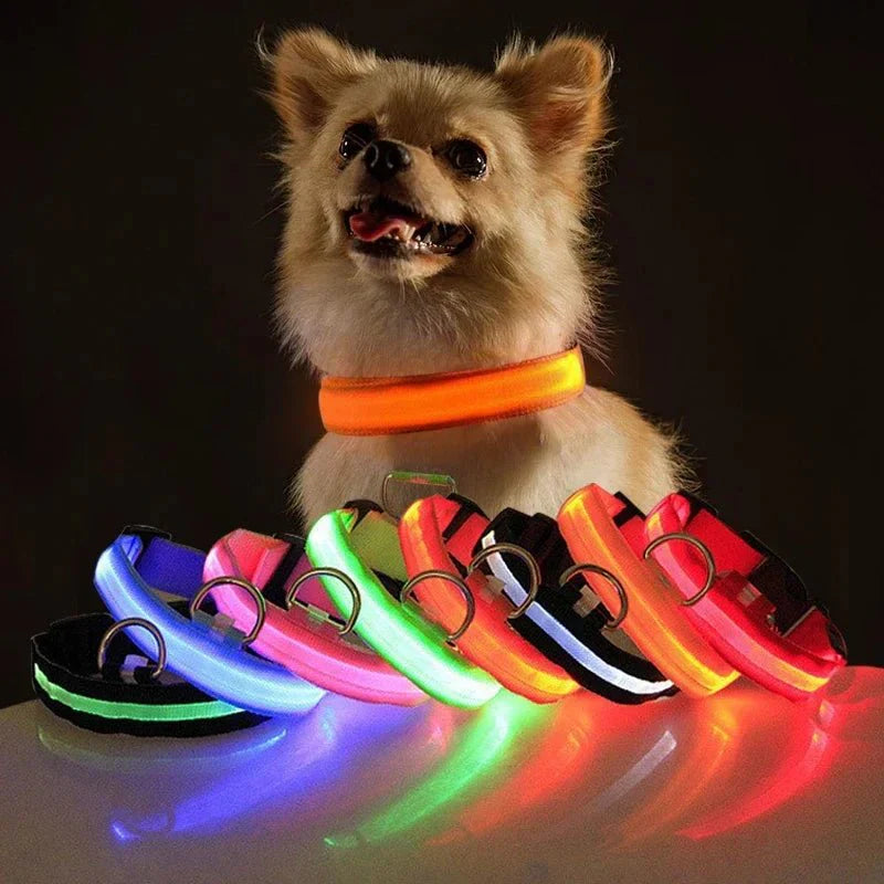 Glow in the dark dog collar