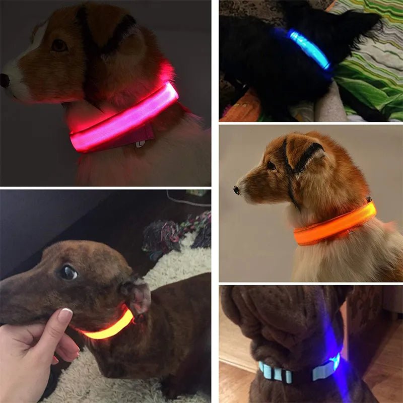 Glow in the dark dog collar