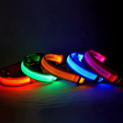 Glow in the dark dog collar