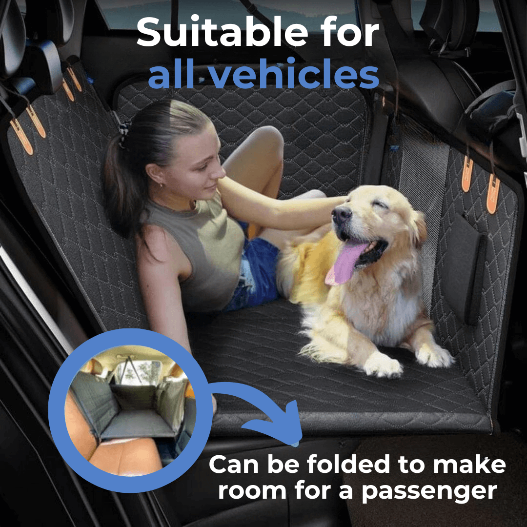 Back Seat Extension for Dogs