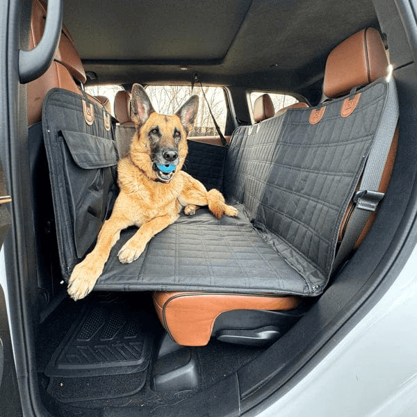 Back Seat Extension for Dogs