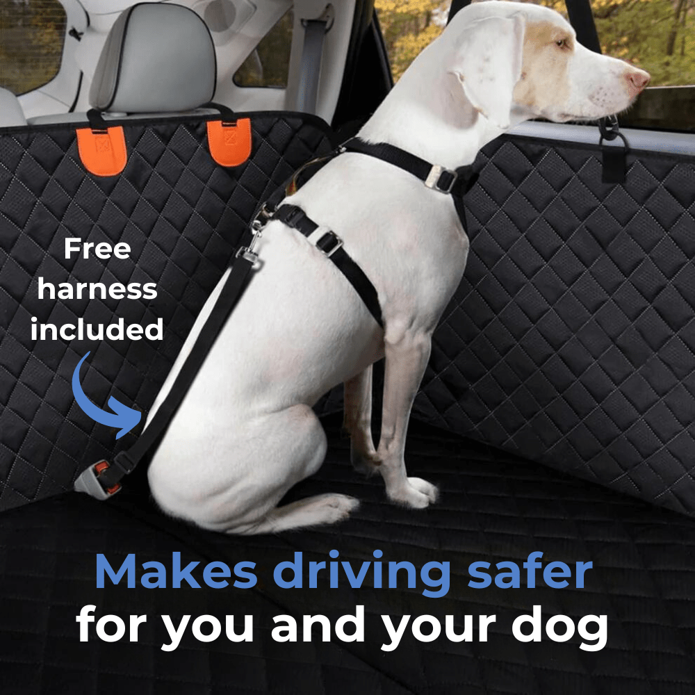 Back Seat Extension for Dogs